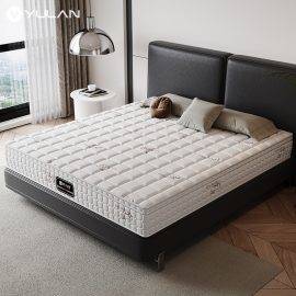 HOTEL MATTRESS\China OEM ODM 7 Zone Queen Size Convertible Spring 5 Star Hotel Hall Bed Mattress In a Box